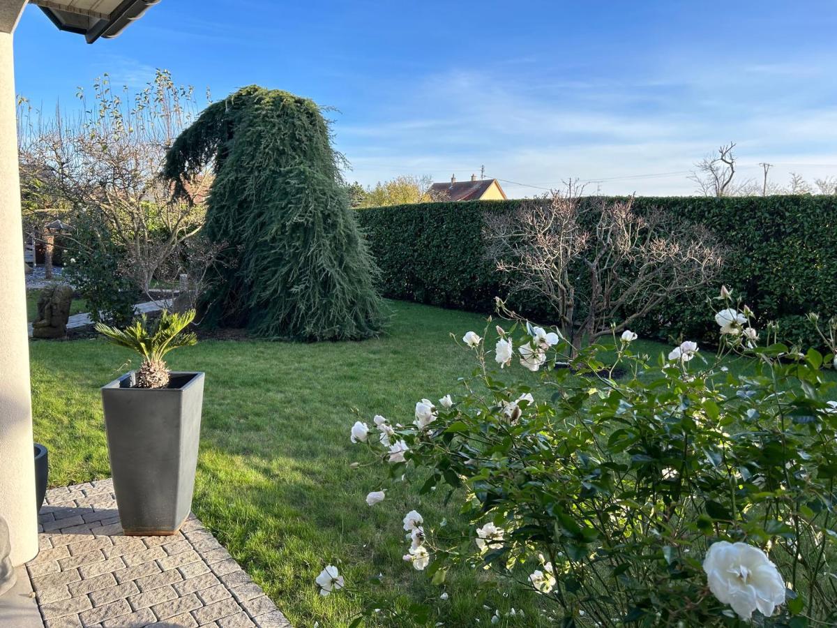 Grande Maison Au Calme Ensisheim Exteriör bild